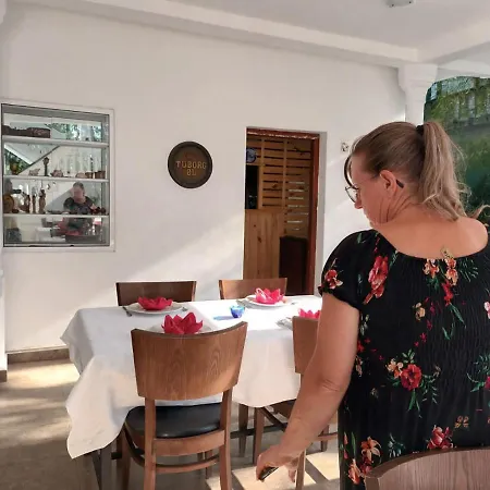 Viking Villa-3